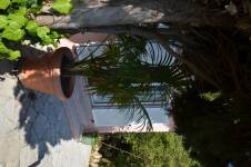 Nicolas TREFOLONI - MAWUN